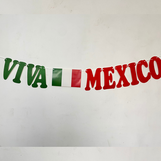 Banner Escarchado Viva México